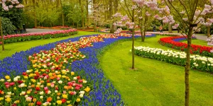 Keukenhof-Gardens-Lisse-Netherlands