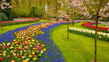 Keukenhof-Gardens-Lisse-Netherlands